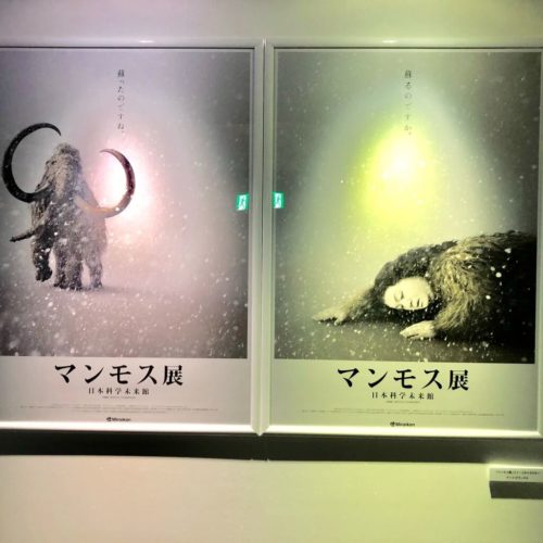 マンモス展 マンモスがよみがえった ジュラシック パークが現実味を帯びる最先端の科学展