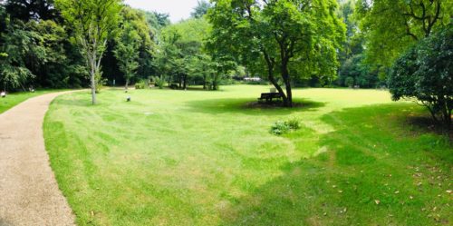 東京都庭園美術館の庭園。広〜い!
